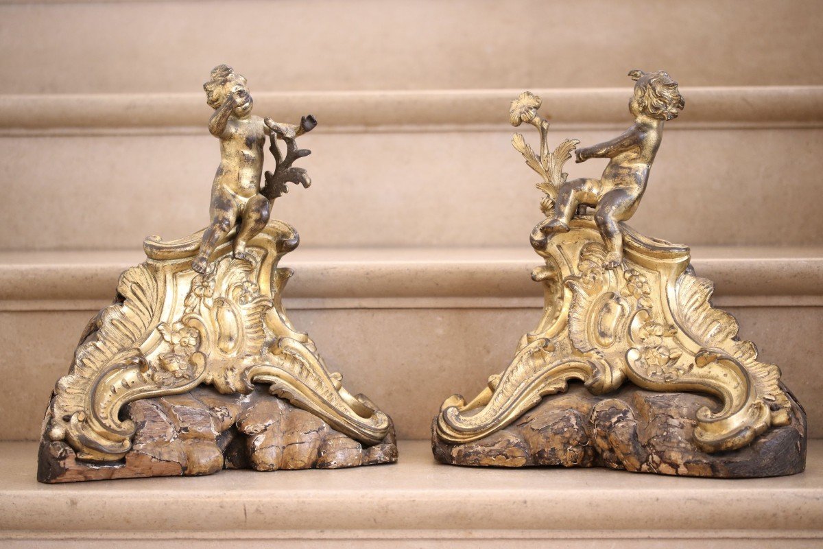 Paire De Chenets En Bronze Doré Et Ciselé