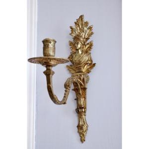 Pair Of Wall Lights With One Arm Of Light In Gilt Bronze 