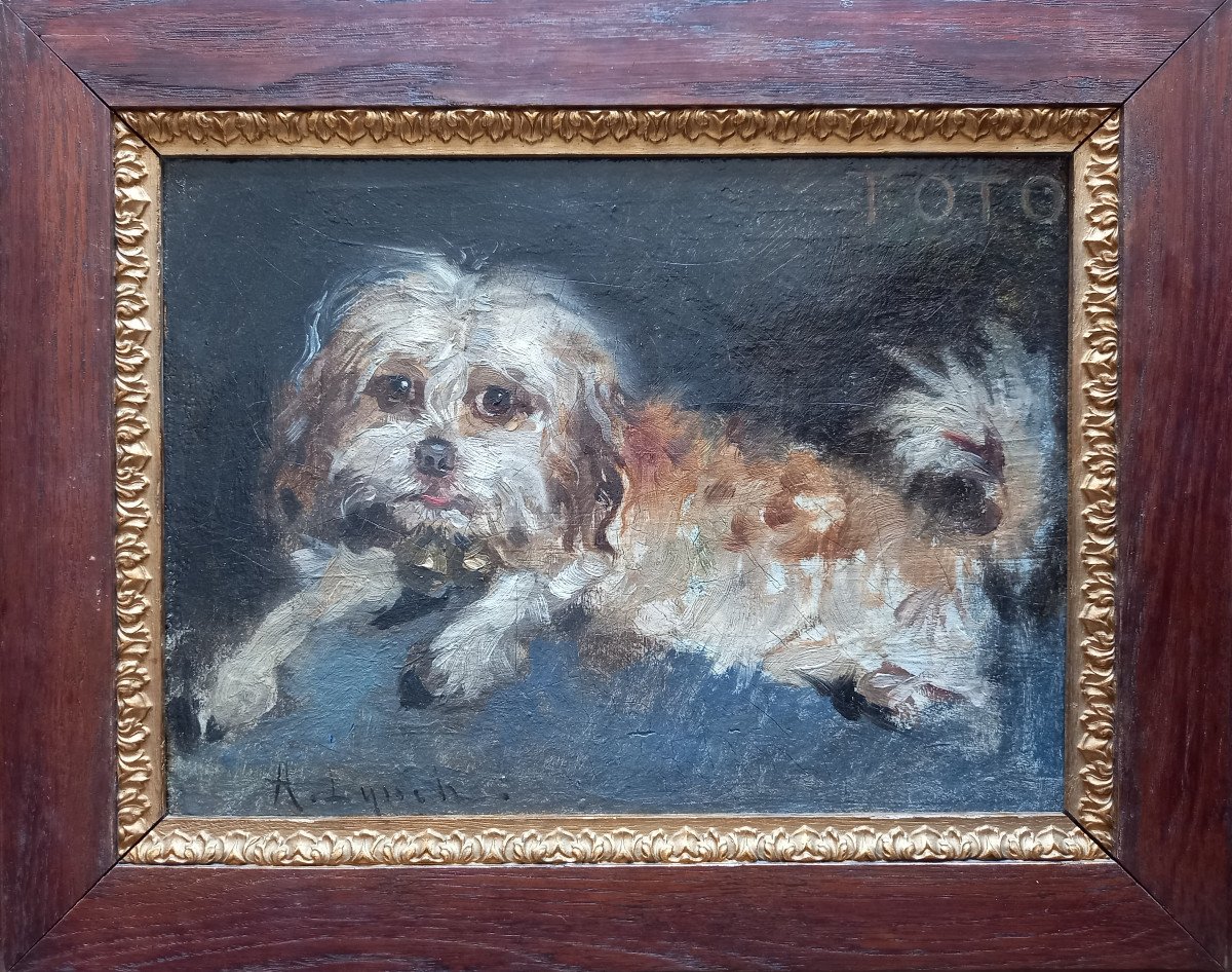 "toto". Portrait de chien.  Albert Lynch.  Pérou. -photo-2