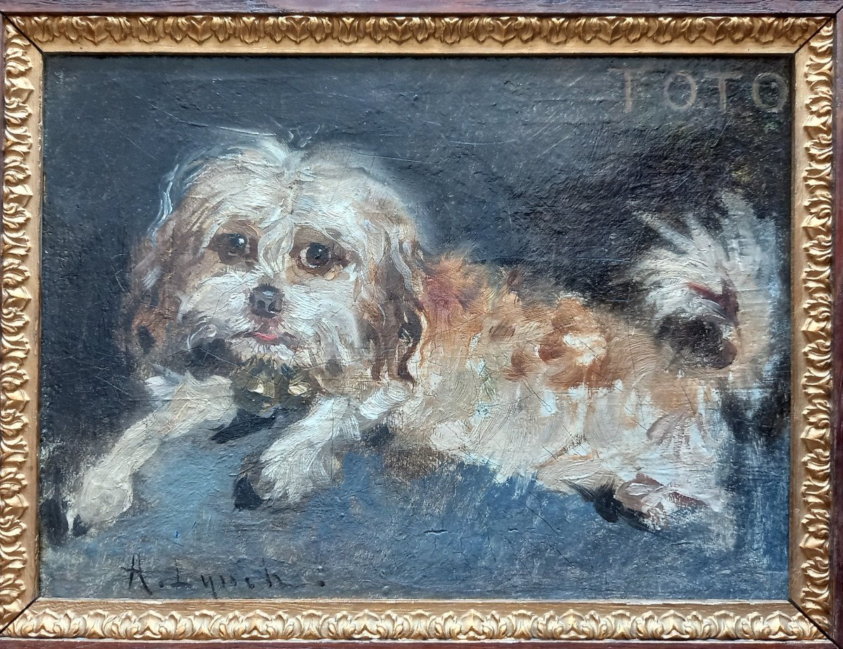 "toto". Portrait de chien.  Albert Lynch.  Pérou. -photo-3