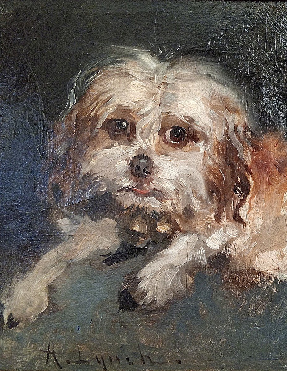 "toto". Portrait Of A Dog. Albert Lynch. Peru. -photo-1