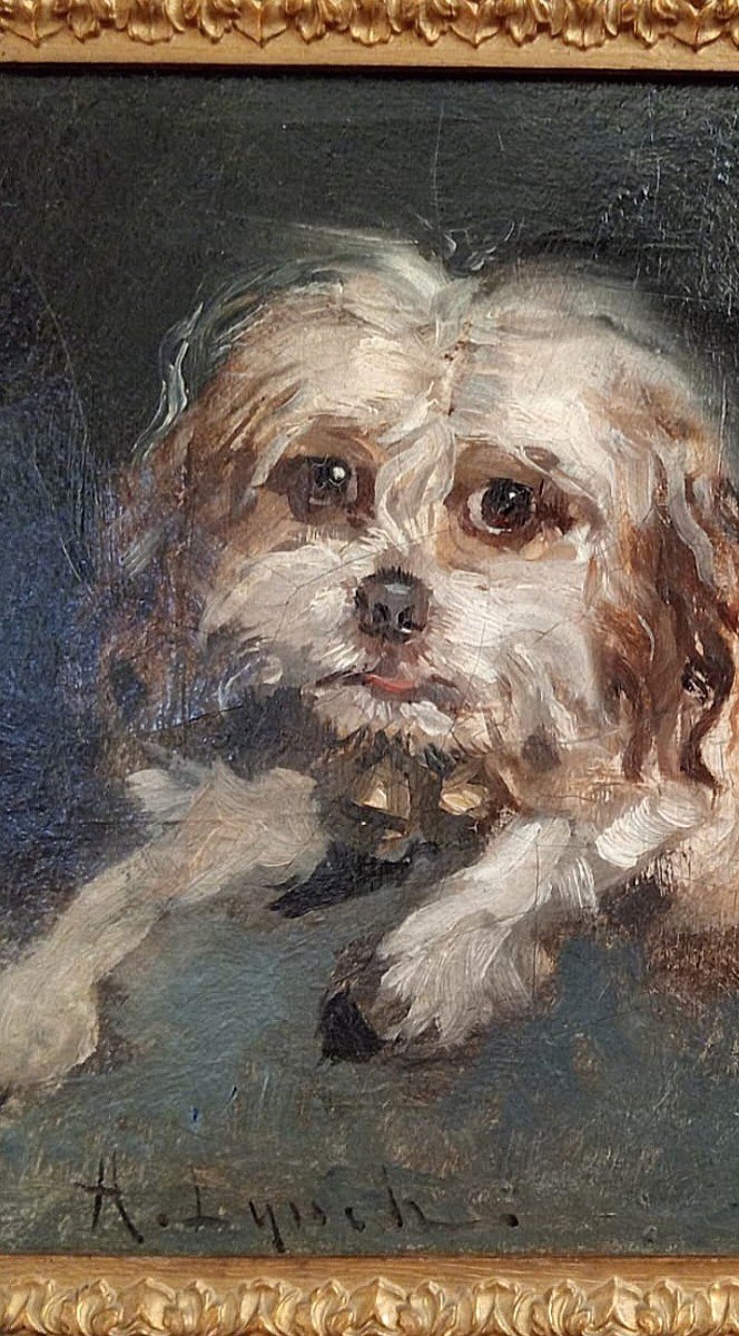 "Toto". Portrait de chien.  Albert Lynch.  Pérou. -photo-3