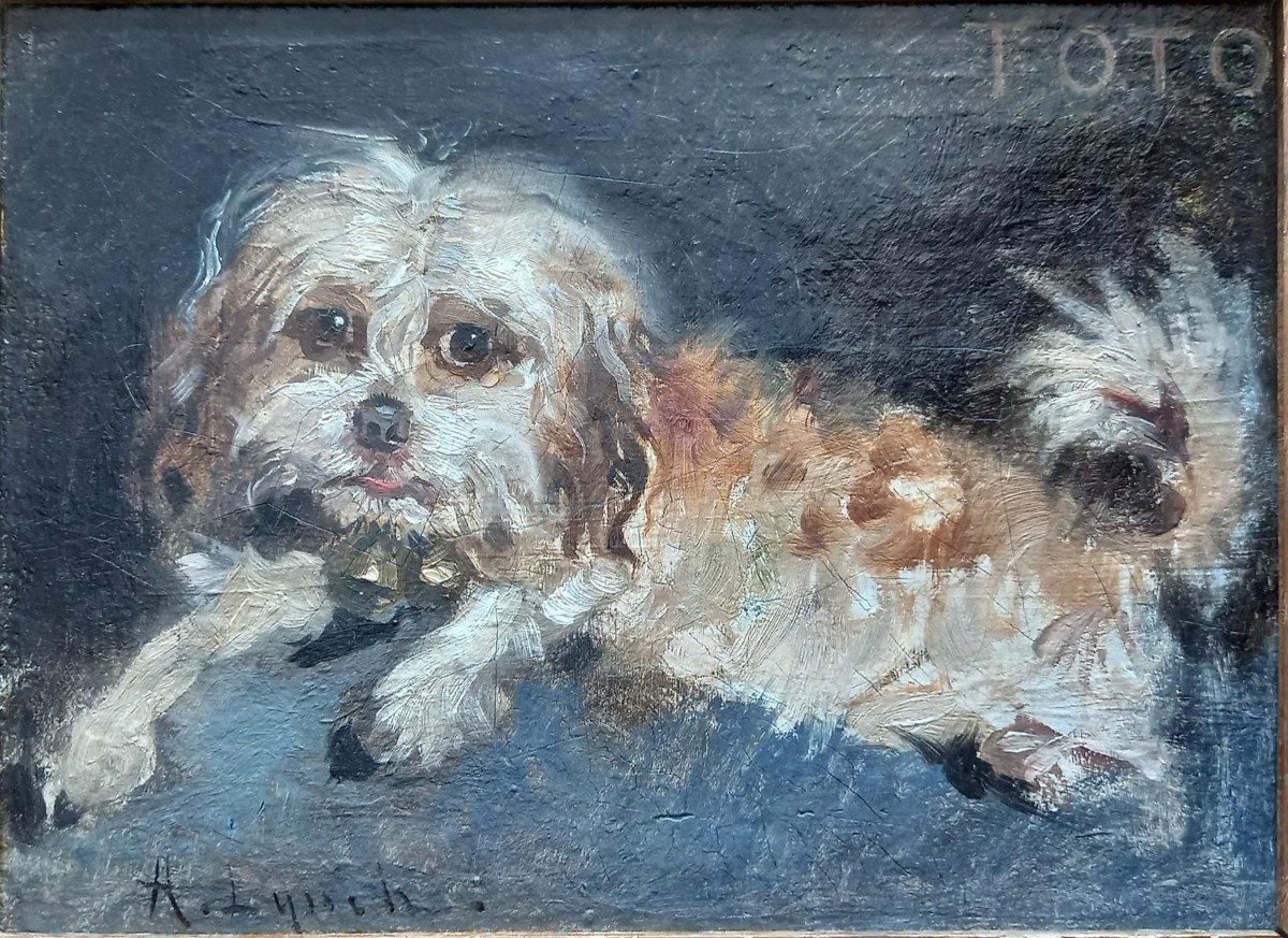 "toto". Portrait de chien.  Albert Lynch.  Pérou. 