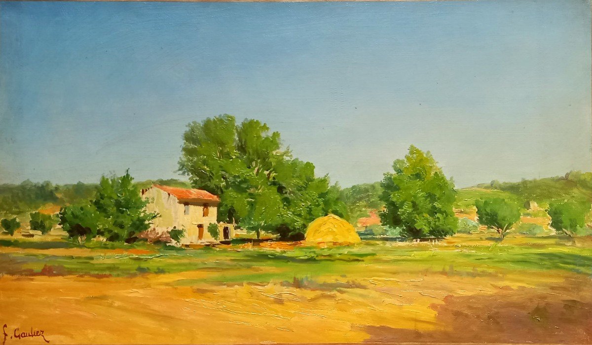 Provencal House And Countryside. François Gautier. -photo-3