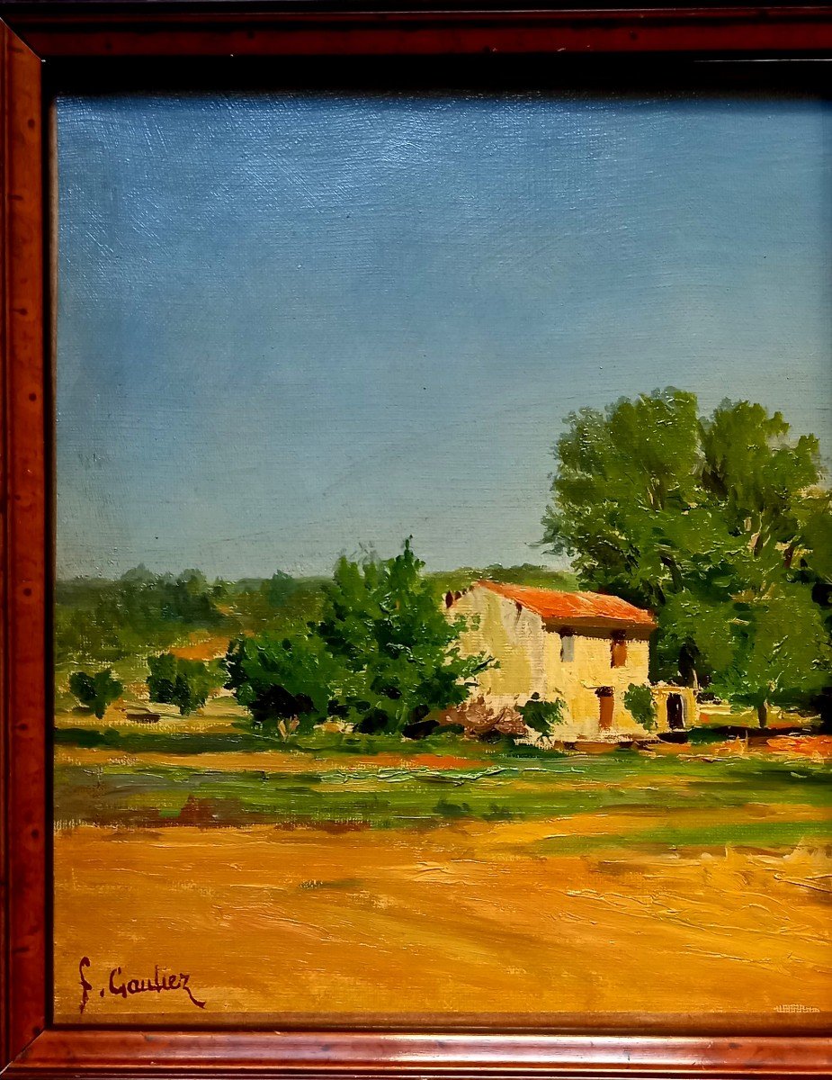 Provencal House And Countryside. François Gautier. -photo-2