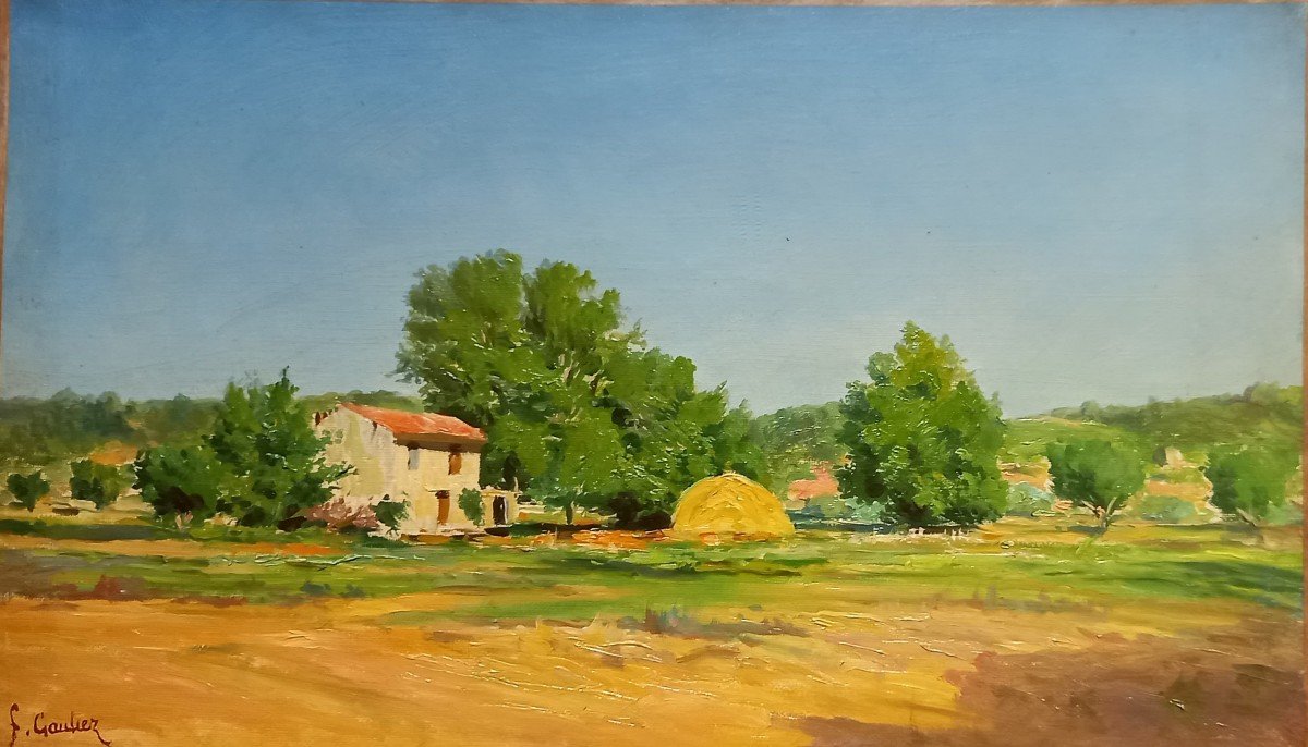 Provencal House And Countryside. François Gautier. 