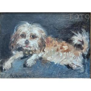 "Toto". Portrait de chien.  Albert Lynch.  Pérou. 