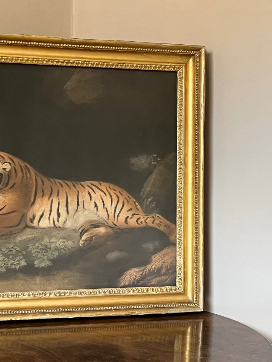 A Tigress, 1798 - Engraved By John Murphy Courtesy Of George Stubbs.-photo-2