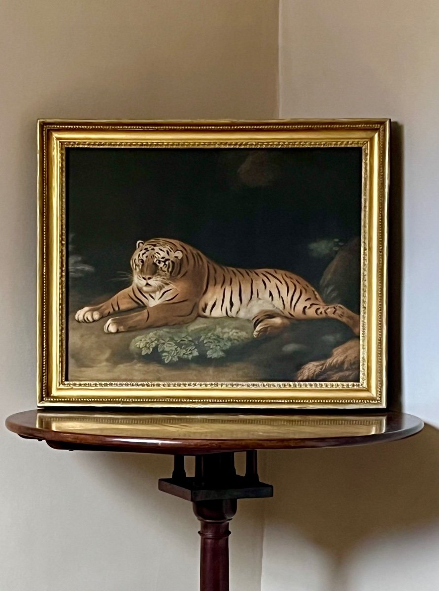 A Tigress, 1798 - Engraved By John Murphy Courtesy Of George Stubbs.