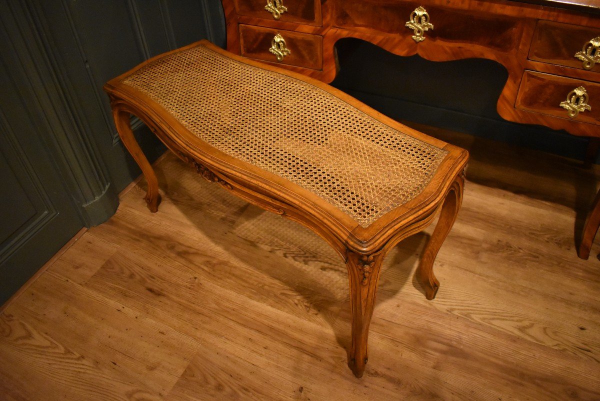 Louis XV Style Bench-photo-7