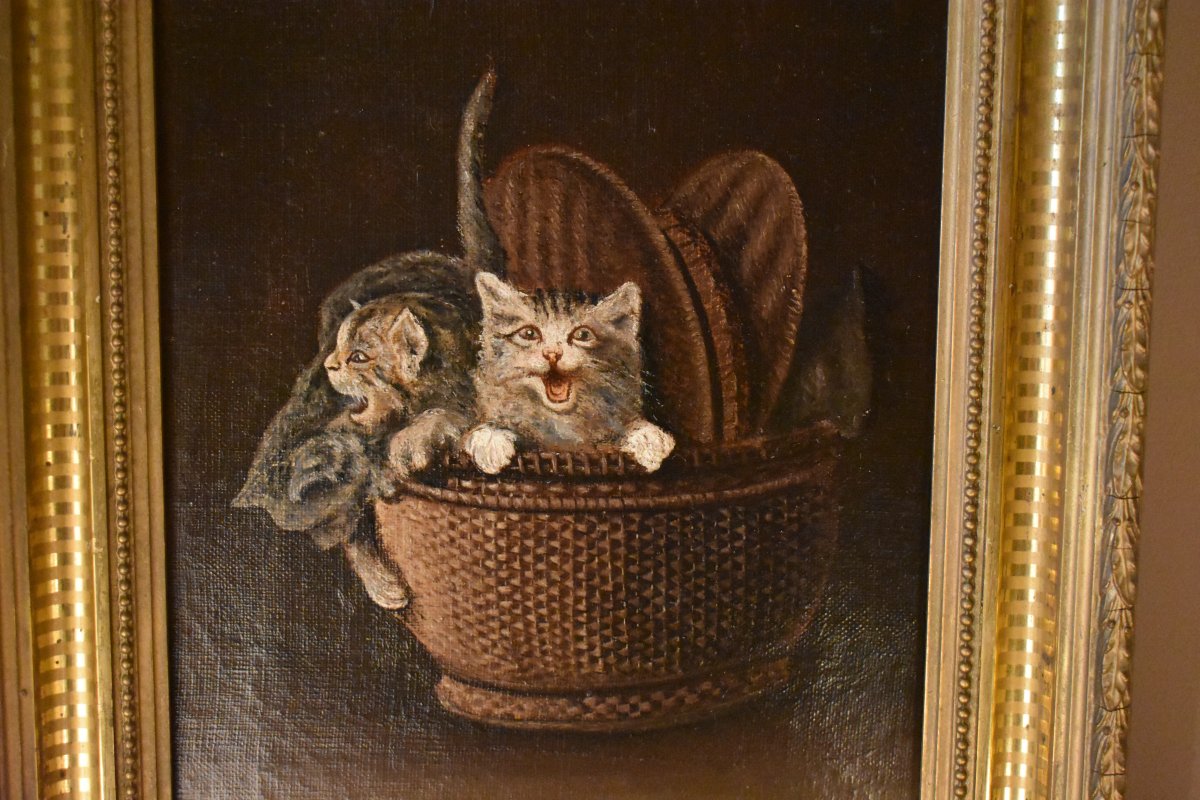 Chatons Dans Un Panier-photo-3