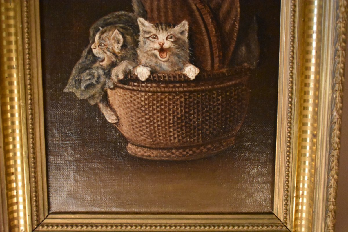 Chatons Dans Un Panier-photo-1