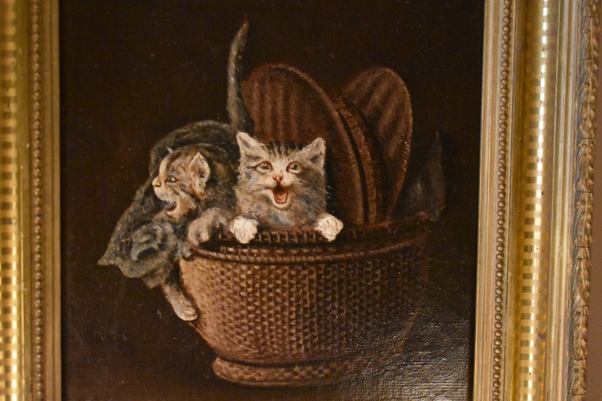 Chatons Dans Un Panier-photo-2