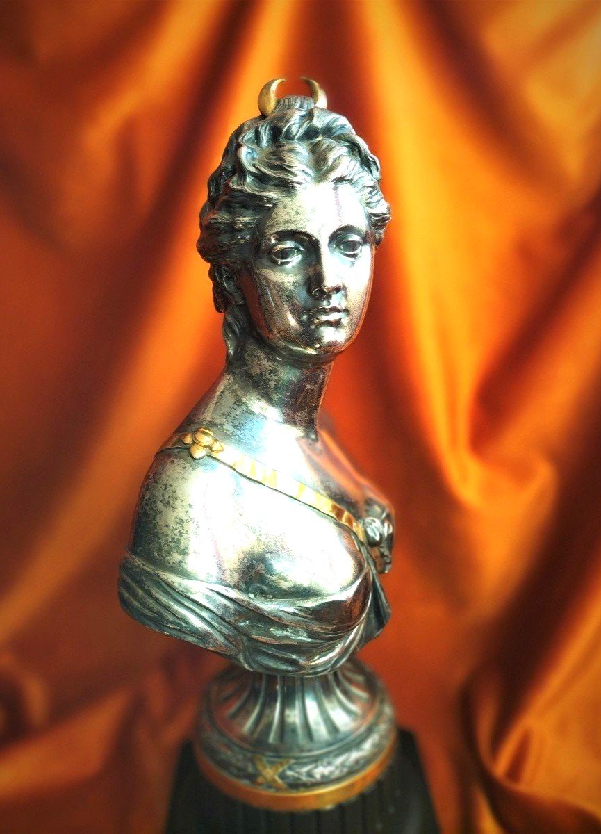 Bust Of Diana In Silvered Bronze After Jean Antoine Houdon-photo-3