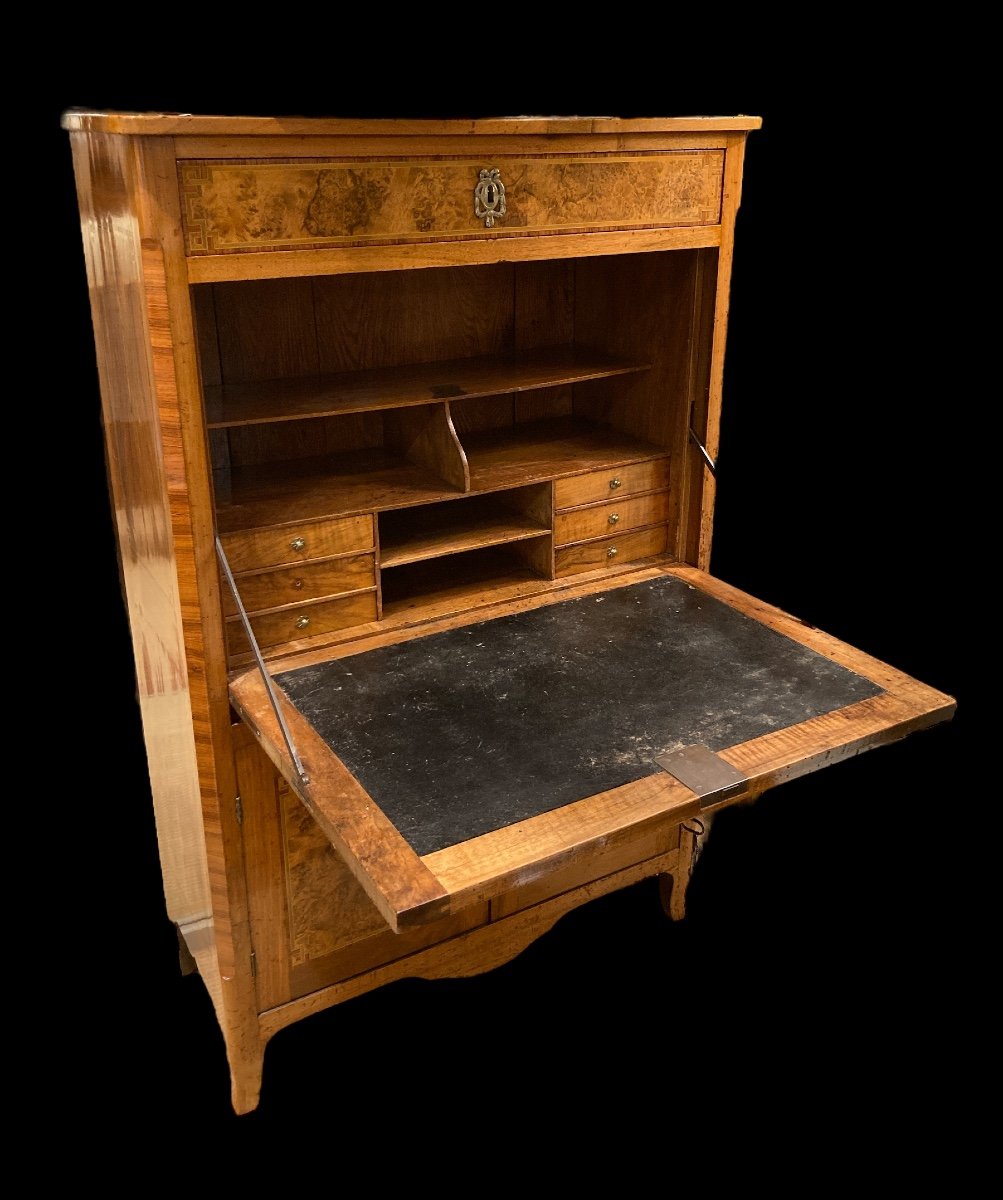 Secretary In Walnut Burl, Late 18th Century -photo-2