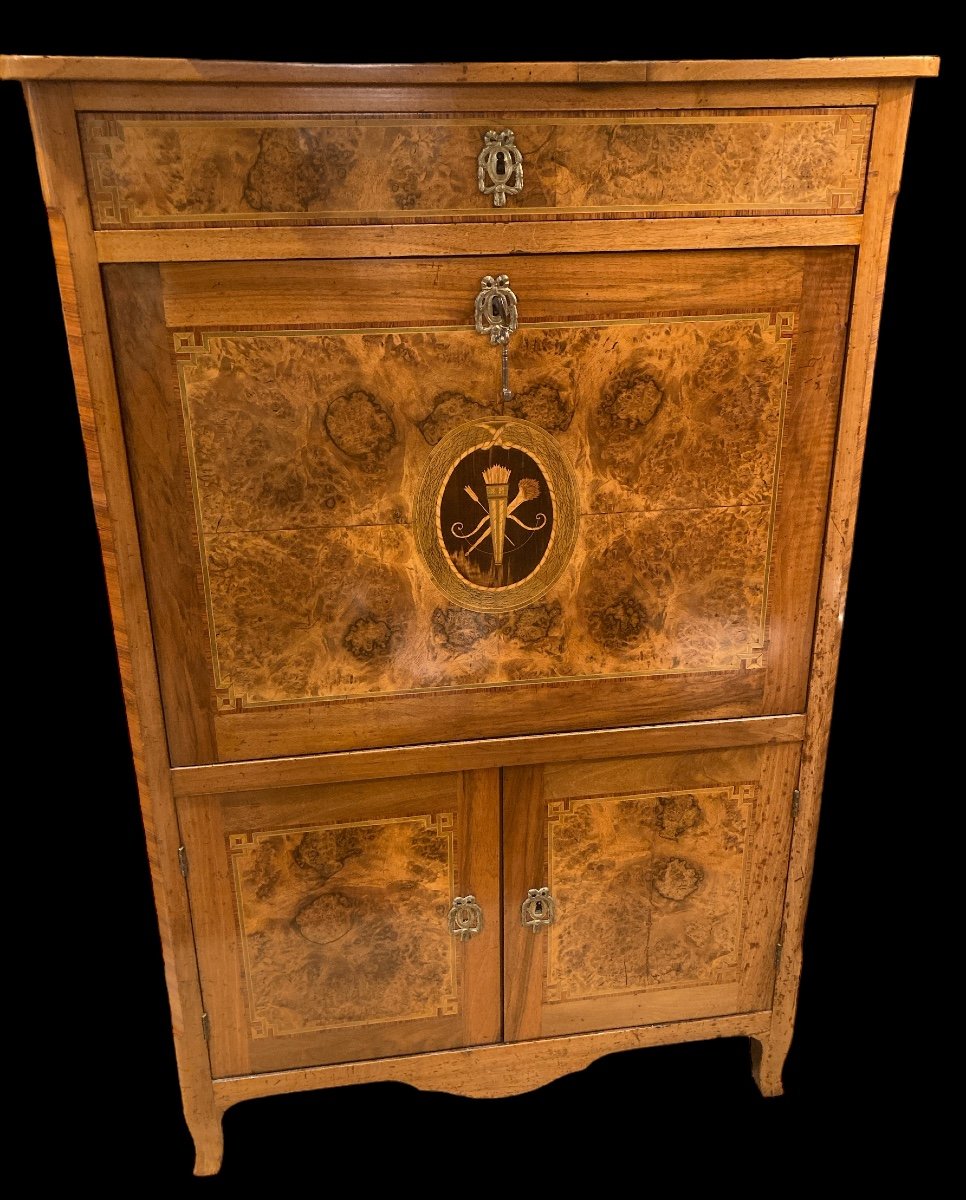 Secretary In Walnut Burl, Late 18th Century -photo-3