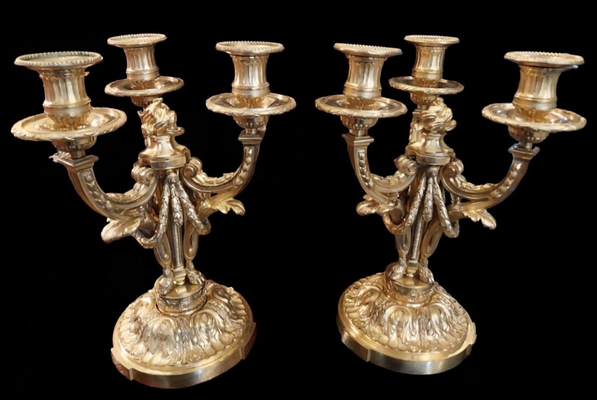 Pair Of Candelabra, Bronze, Louis XVI Style, Late 19th Century