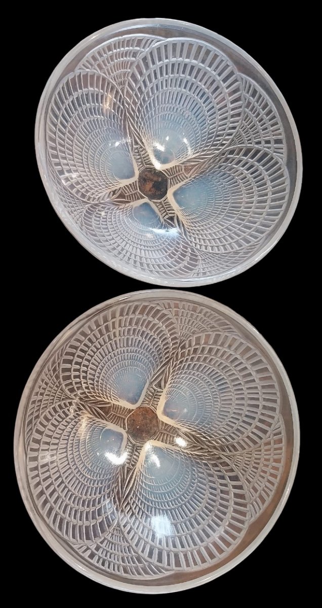 René Lalique (1860-1945), Coupes Modèle Coquille , XXe-photo-2