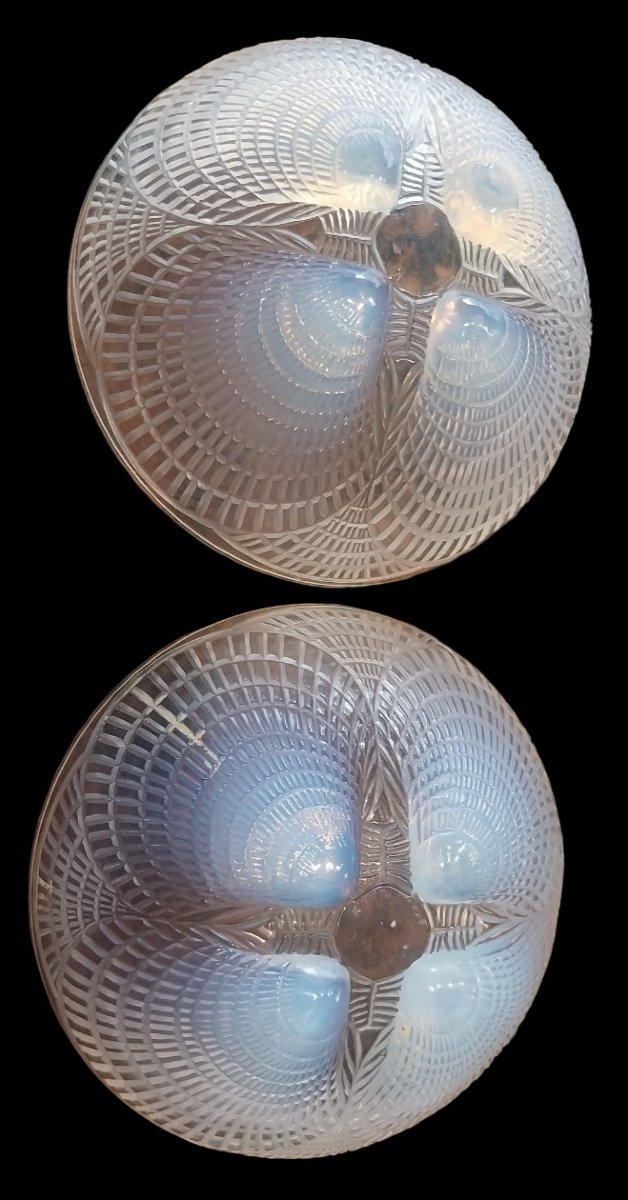 René Lalique (1860-1945), Coupes Modèle Coquille , XXe-photo-4