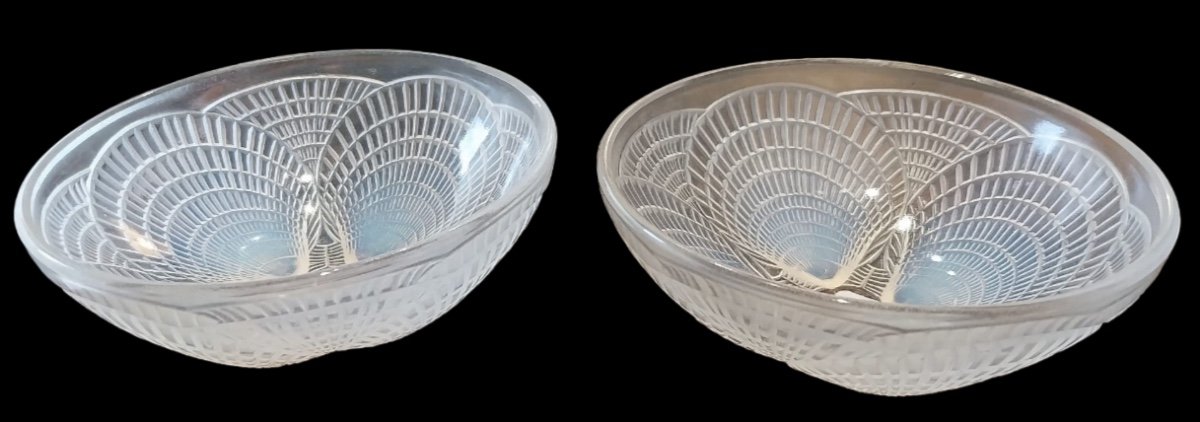 René Lalique (1860-1945), Coupes Modèle Coquille , XXe