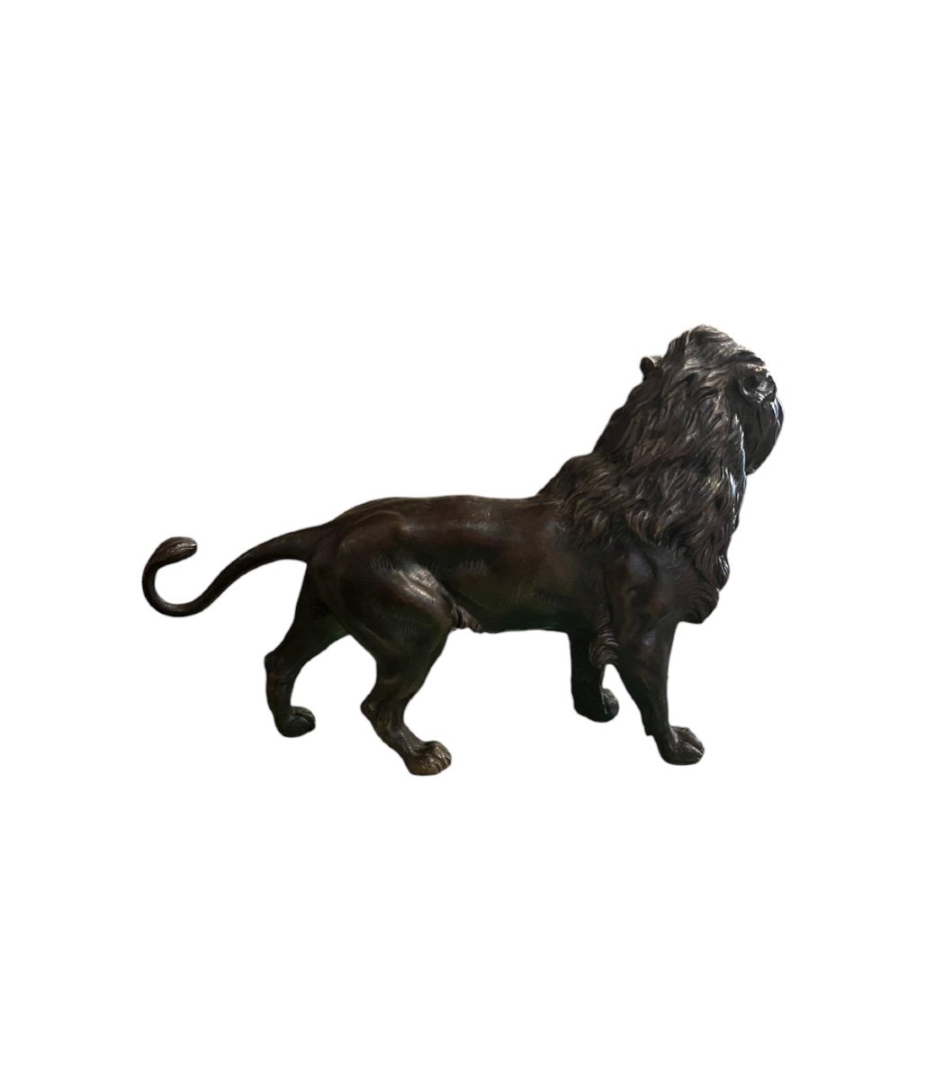 Lion, Bronze massif, XXe-photo-3