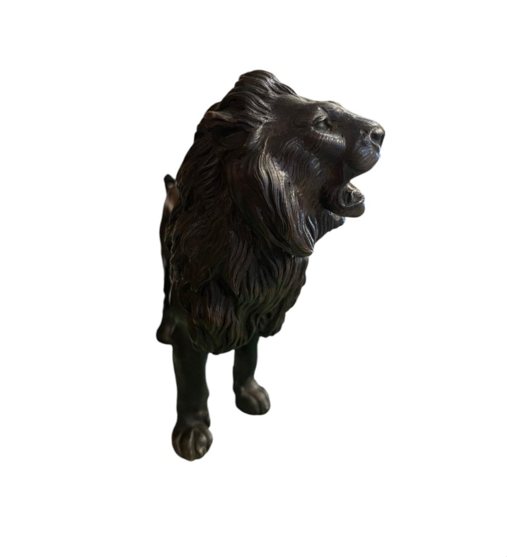 Lion, Bronze massif, XXe-photo-1