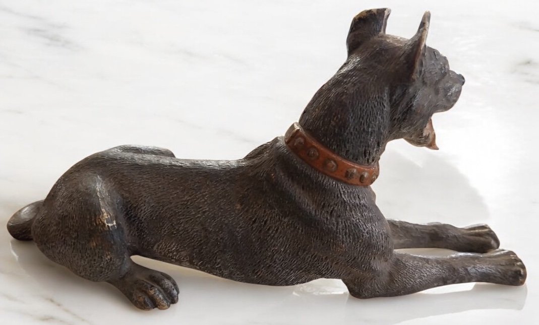 Vienna Bronze, Great Dane, 19th Century-photo-3