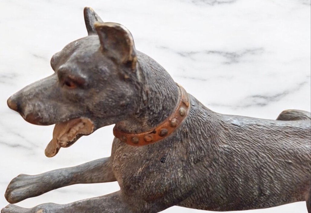 Vienna Bronze, Great Dane, 19th Century-photo-3