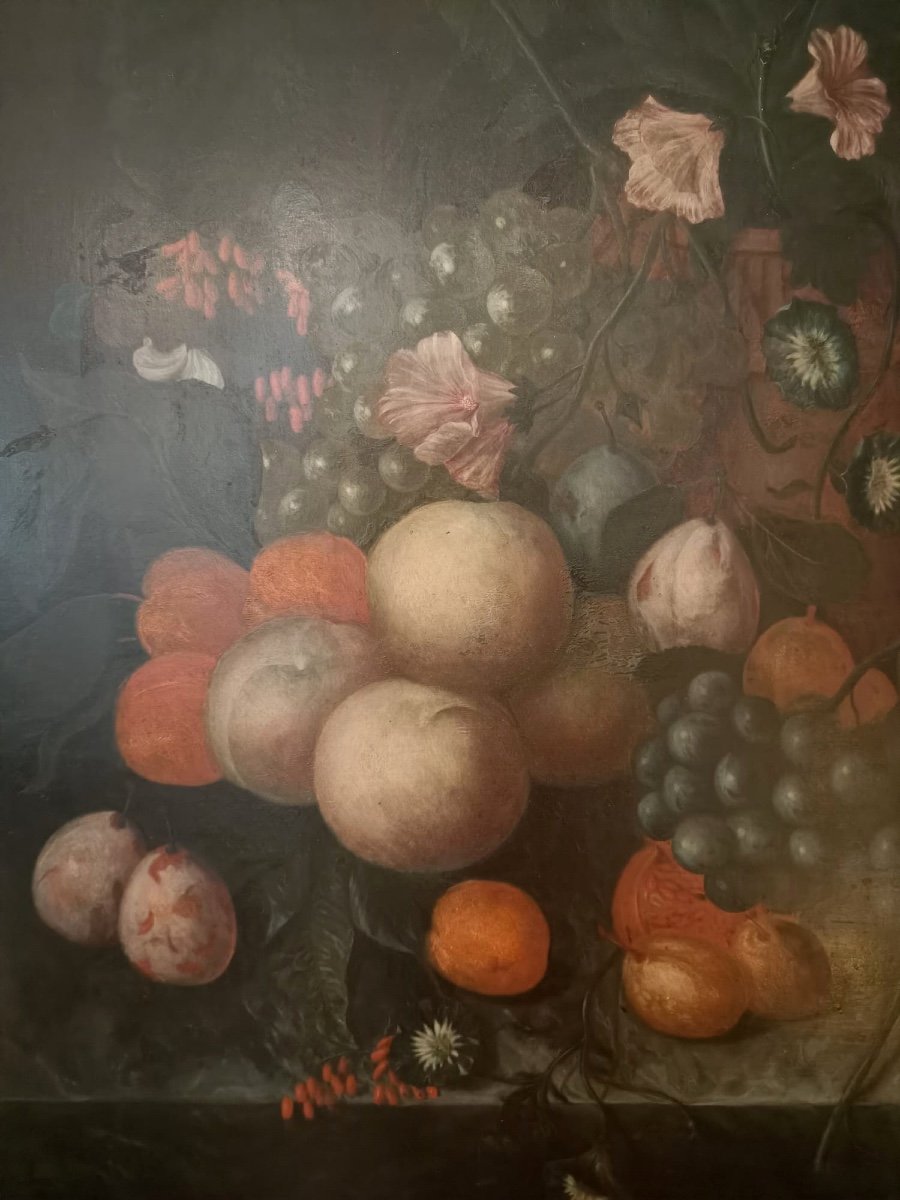 Still Life With Fruits, Oil On Panel, Nineteenth-photo-3