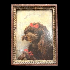 Alfred Decaen (1820-1902), Huile Sur Carton, Portrait De Caniche Avec Noeuds Rouges, XIXe