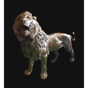 Lion, Bronze massif, XXe