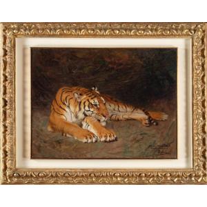 Painting By Gustave Surand (paris 1860 - 1937) Depicting A Resting Tiger