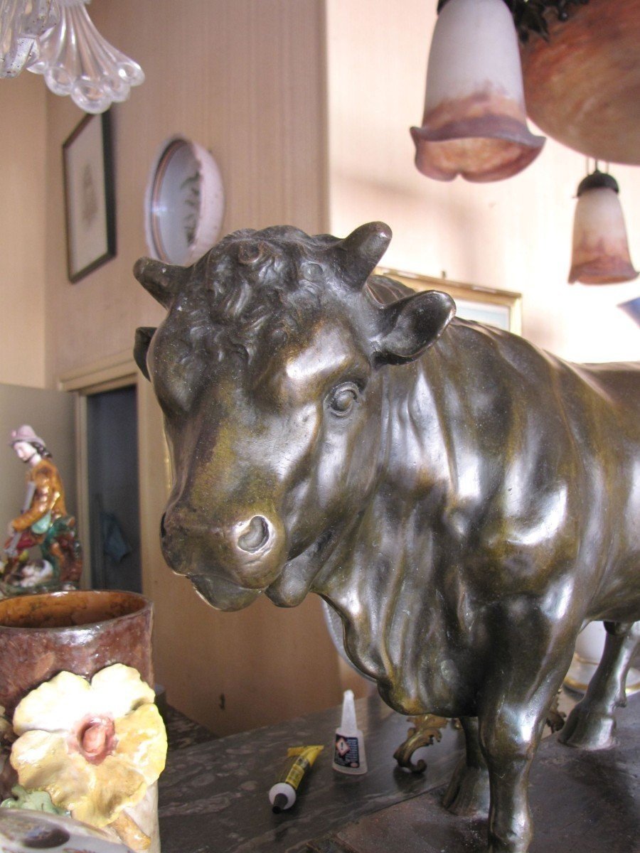 Bronze Bull-photo-2