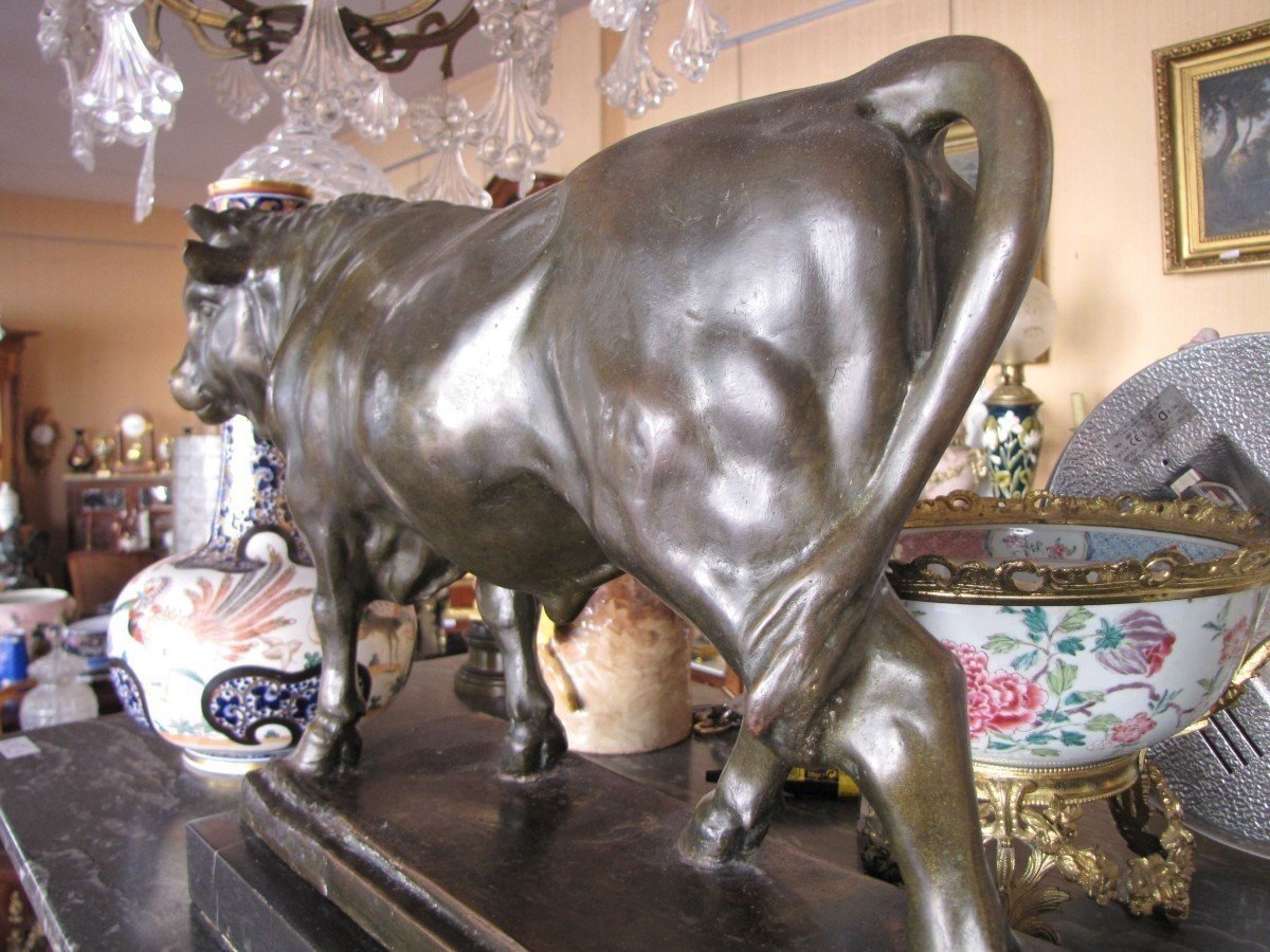 Bronze Bull-photo-1