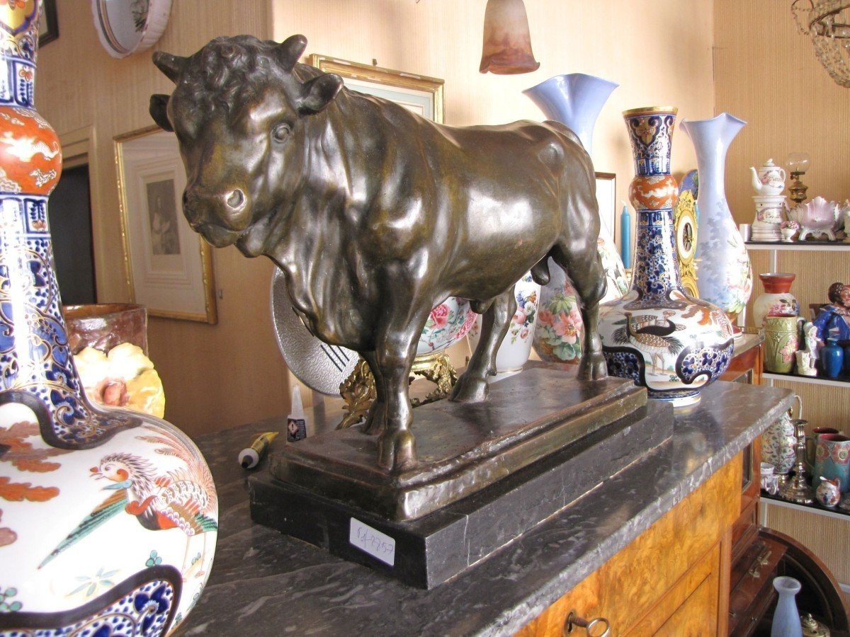 Bronze Bull-photo-4