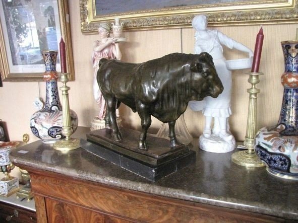 Bronze Bull-photo-5