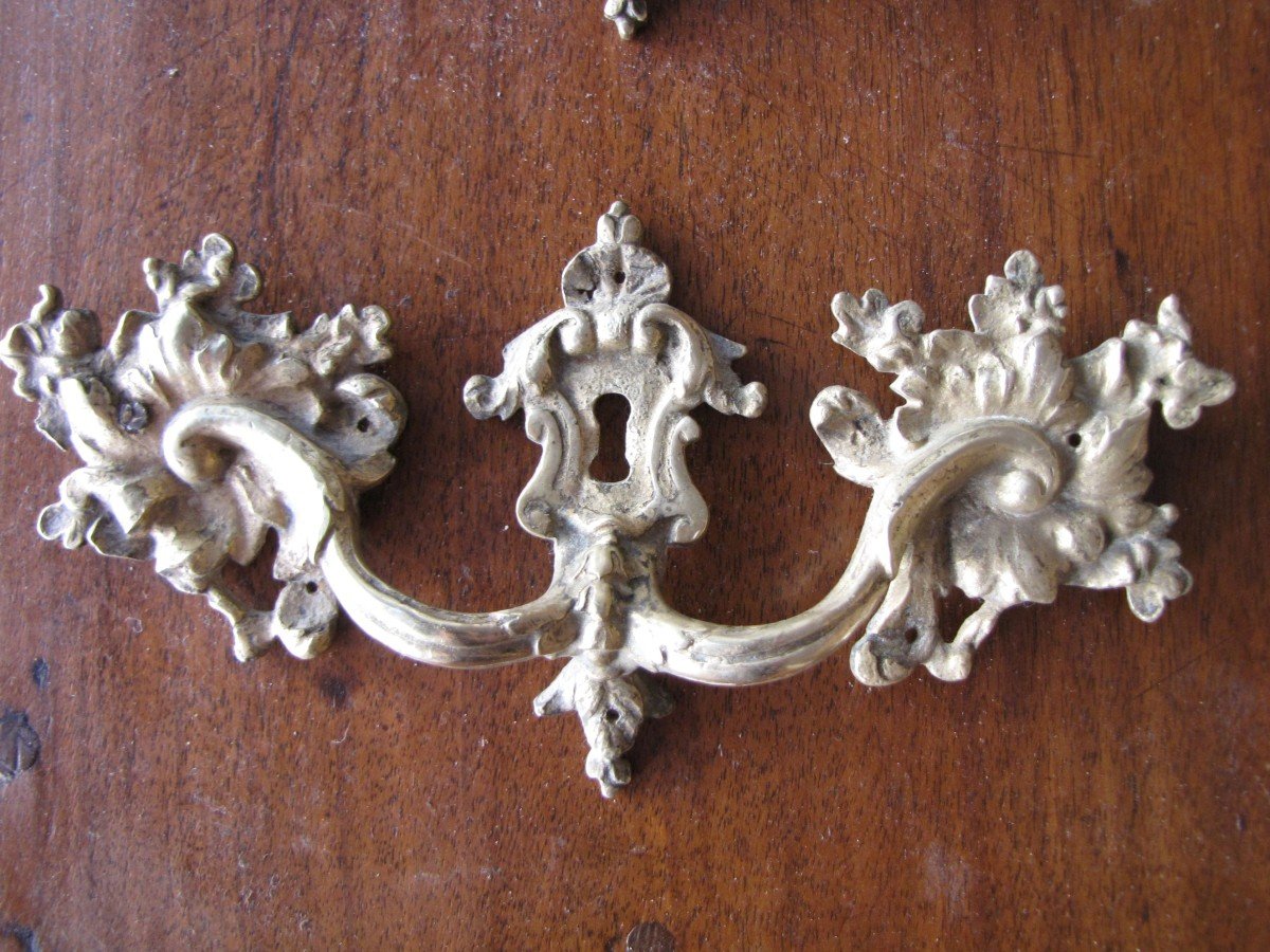 Louis XV Handles-photo-4