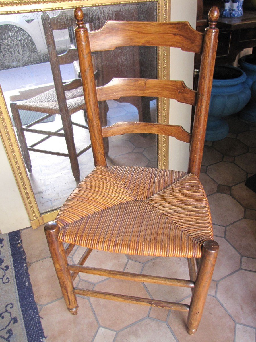Série de chaises  paillées anciennes-photo-5