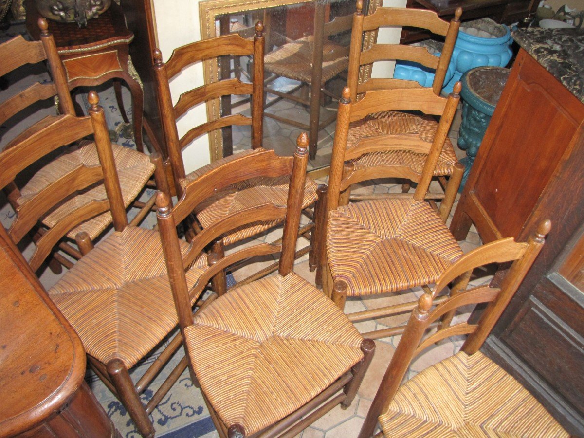 Série de chaises  paillées anciennes