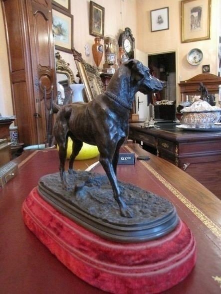 Bronze Dog-photo-2