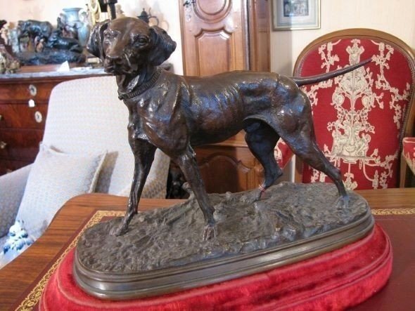 Bronze Dog-photo-4