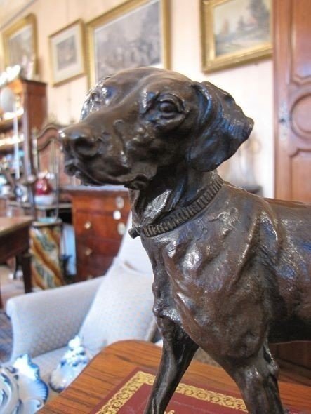 Bronze Dog-photo-2