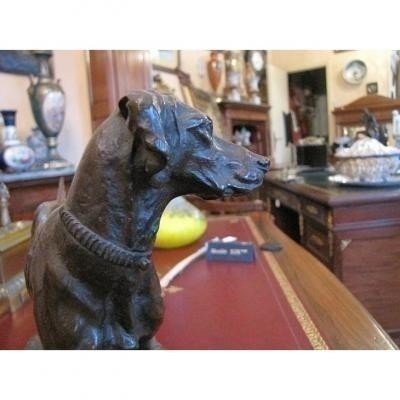 Bronze Dog-photo-5