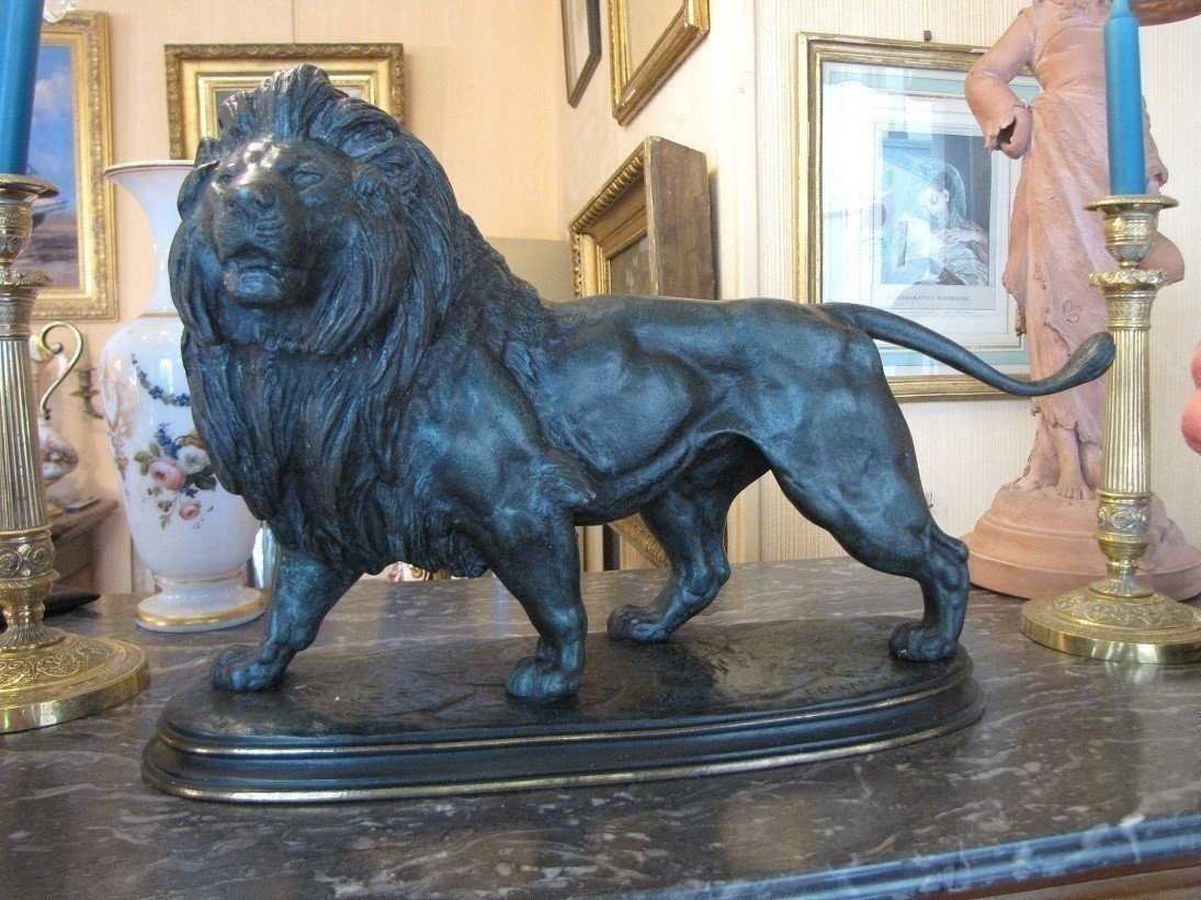 Important Lion En Bronze-photo-5