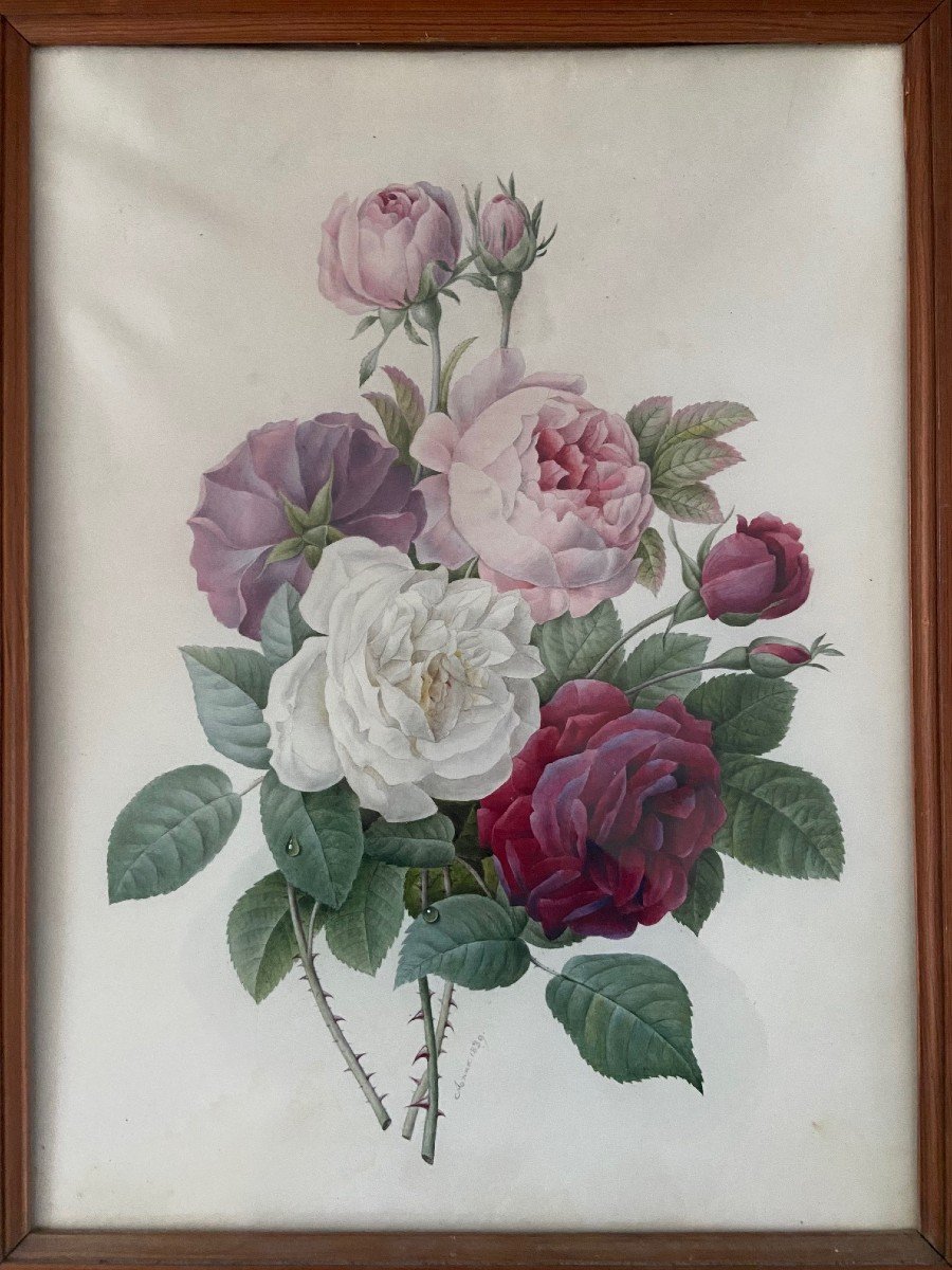 Proantic: Etude De Roses, Entourage De Redouté. Signée Anna 1839