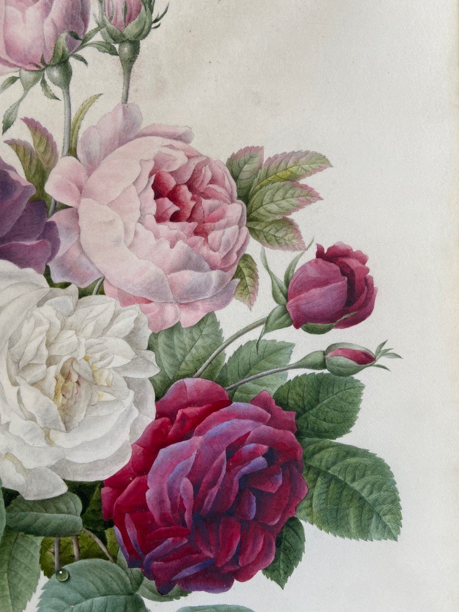 Proantic: Etude De Roses, Entourage De Redouté. Signée Anna 1839