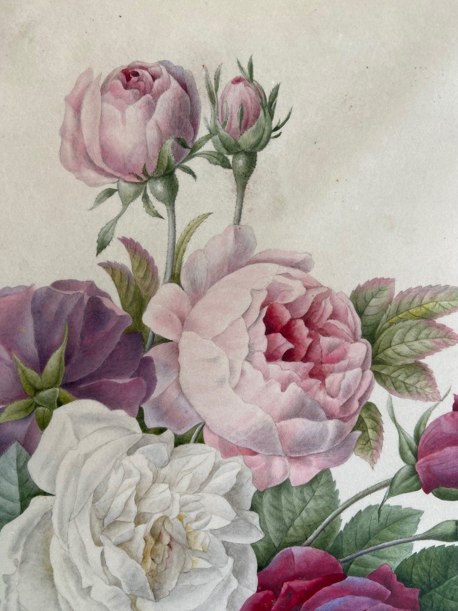 Etude De Roses, Entourage De Redouté. Signée Anna 1839-photo-4