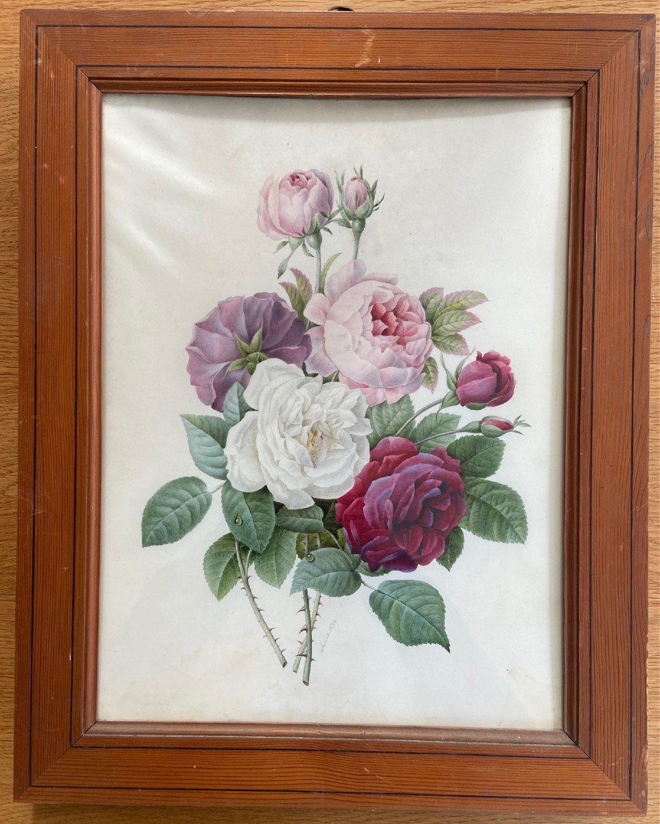 Etude De Roses, Entourage De Redouté. Signée Anna 1839