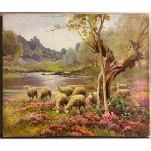 Edouard Pail, The Sheep At The Water's Edge, Among The Heather