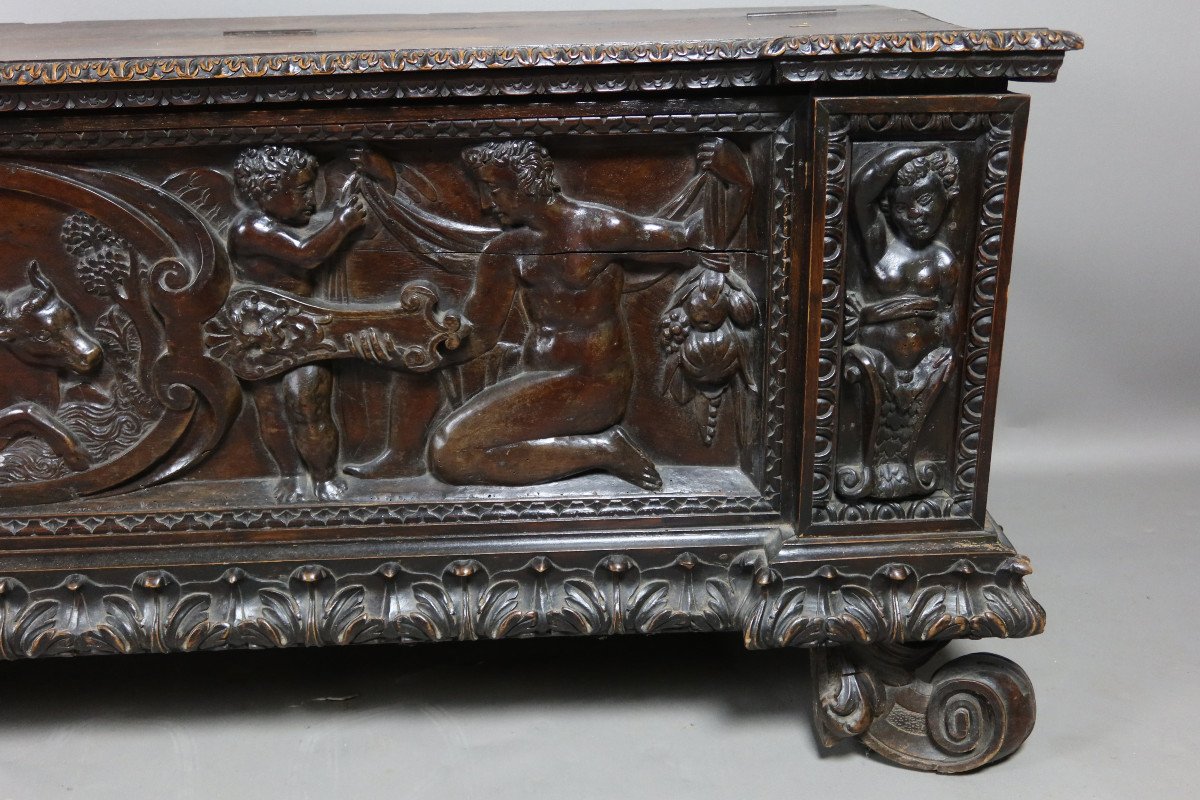 Cassone Chest In Walnut XIX-photo-3